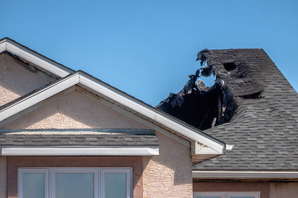 Top rated local Firefighting Water Removal specialists in Bellevue, WI